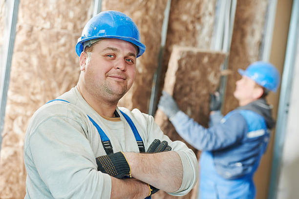 Best Specialized Insulation Services in Shrewsbury, MO
